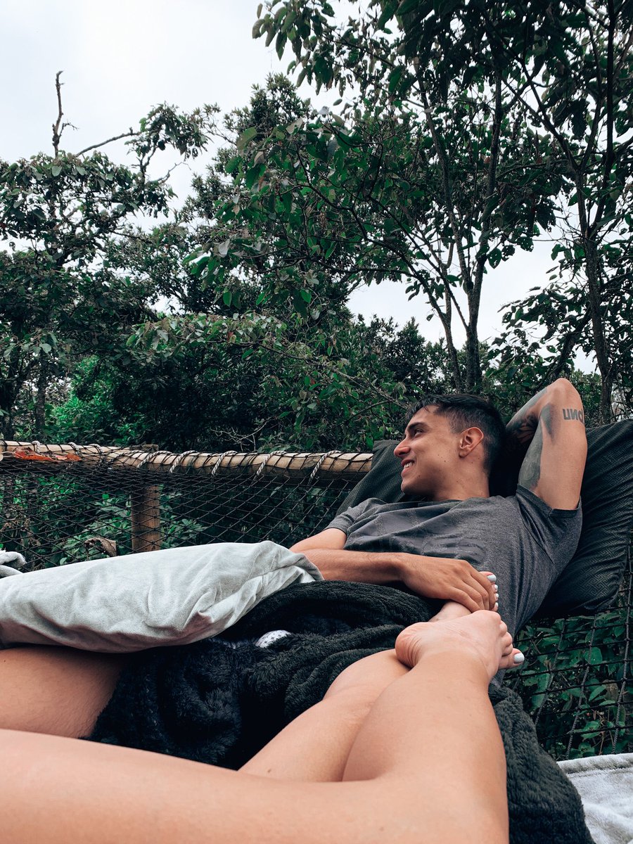 La de los Elefantes tweet media