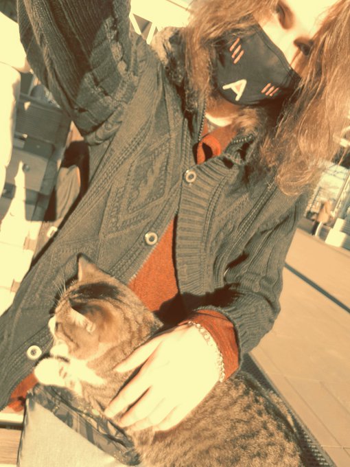 This kitty came up and sat on my feet :3
#femboy #trans #sissy #crossdresser #LGBT #nsfw https://t.c