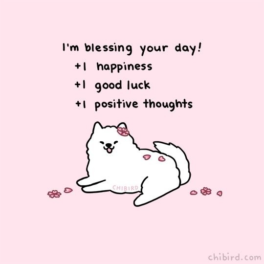 MellyPromotes's tweet photo. @woram Hey! don't skip your meals and drink lots of water, have a great day for you . . ☀💛 https://t.co/93DJJMm7qD