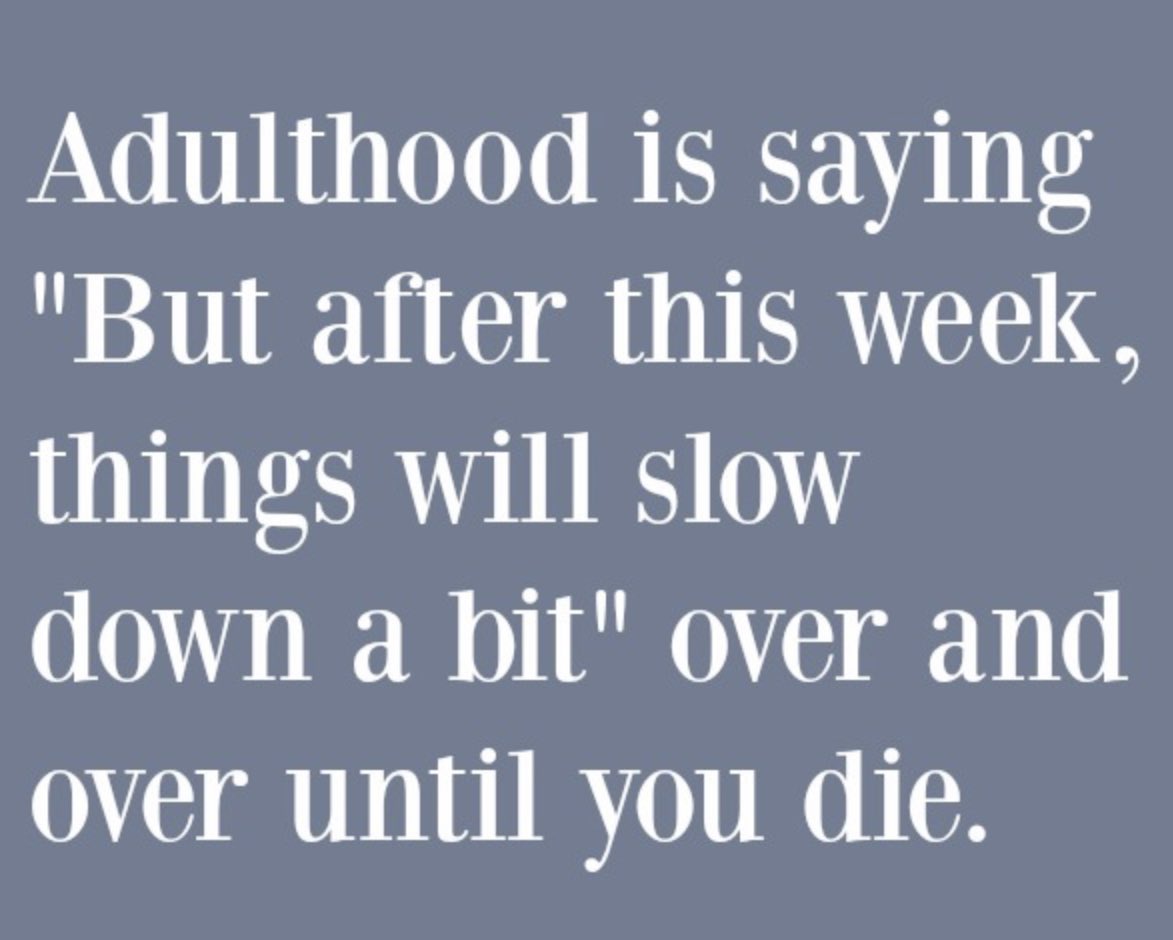 Karen Haase (@karenhaase) on Twitter photo 