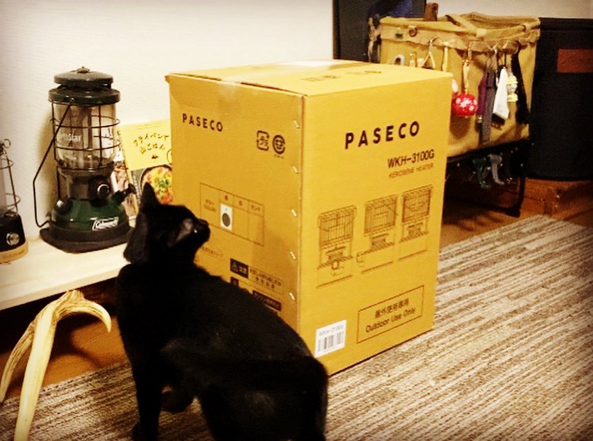 nagicamp59's tweet photo. 10月にAmazonで購入した #PASECO 
が来ましたが✨
次のキャンプから使います😆👍
 #アルパカストーブ 
 #女子キャンプ 
 #北海道女子ソロキャンプ 
 #初心者キャンプ 
 #アラフォー女子 
 #キャンプ
 #Twitter使いこなせない https://t.co/v6jqkMadeJ