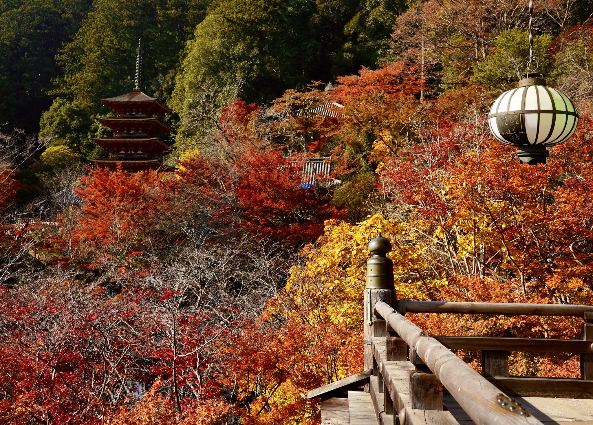 奈良長谷寺 Twitter Search Twitter