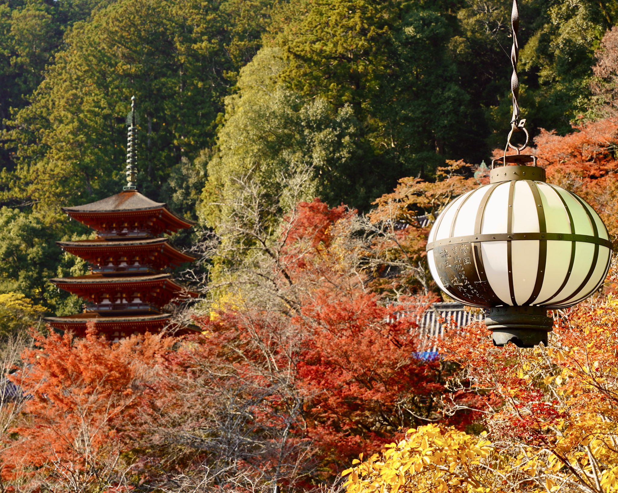 奈良長谷寺 Twitter Search Twitter