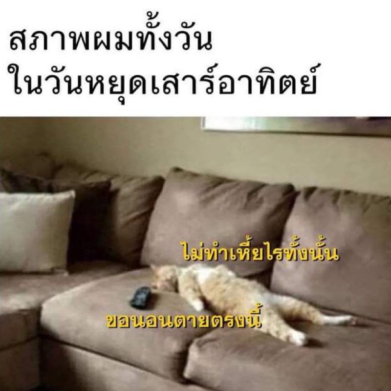 bbigkachu's tweet photo. ความสุขที่กูรอมาทั้งอาทิตย์ 5555555555555555 #แฮปปี้เฟรชมาก https://t.co/DqfdVEMjye