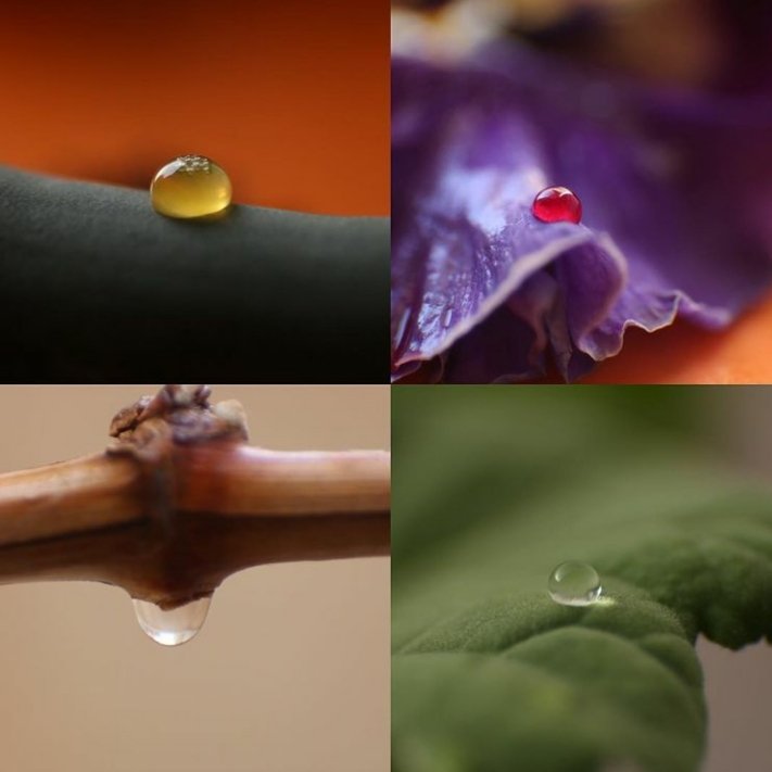 _AvaNasiri_'s tweet photo. #Macro #macrophotography #amazingmacro #photography #photo #art #artist https://t.co/STaQctZztx