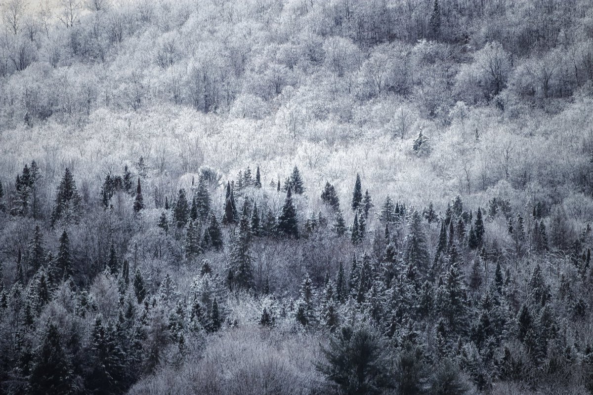 junekrisko's tweet photo. Like Christmas already ❄️
#skylinepark
.
.
.
#haliburton #myhaliburton #myhaliburtonhighlands #haliburtonhighlands #onhighlands #junekriskoartist #junekriskophotography #snowfall2021❄️ #canont7i #sigma150600mm #canoncanada #sharecangeo https://t.co/iS2iodLChg