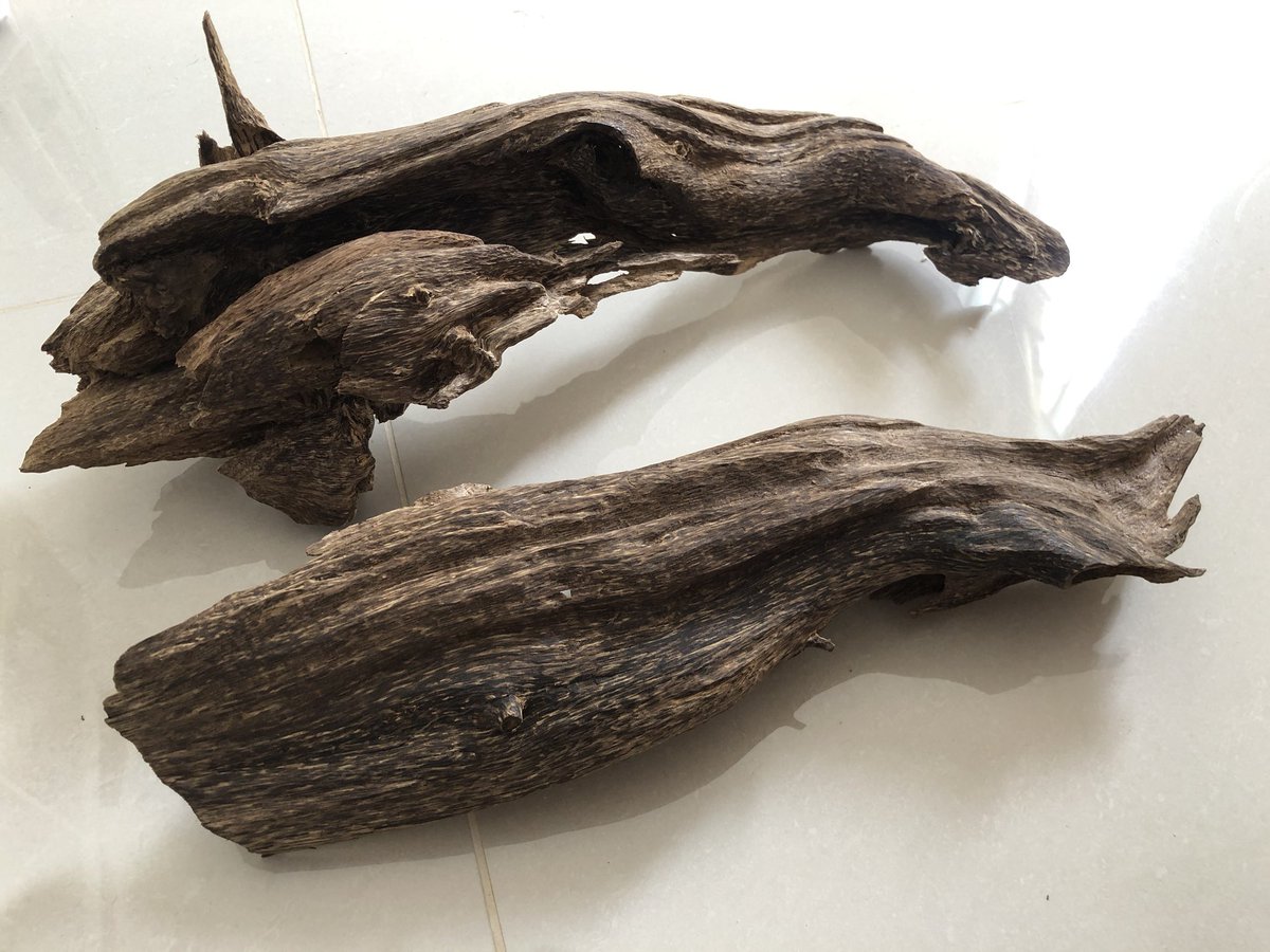 OudhOun's tweet photo. Pursat Forest 🌳 
Weight: 385g 
Strong Sweet Smell ♨️
🚨NO GLUE
🚨NO PAINT 
Interested pls Whatsapp +855885479001

#agarwooda #oudh #agarwood #agarwoodarab #oud #oudsticks #kuwait #kuwaitcity #uae🇦🇪 #Riyadh #saudiarabia #oman #qatar #dubai #perfume #Bahrain #underwater https://t.co/hsYj8dQCgz