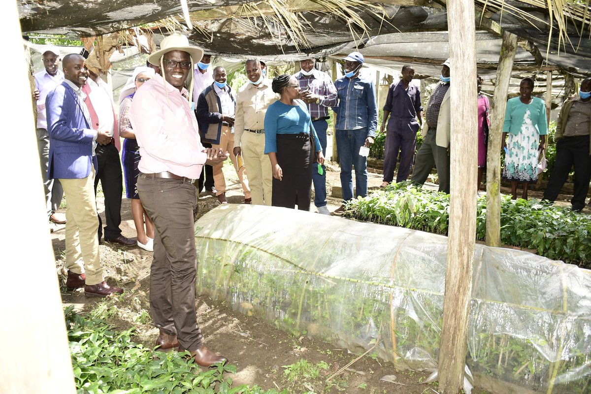 Kiplimo Araap Lagat, PhD tweet media