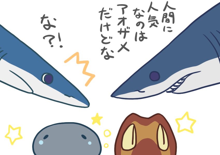 イヌザメさんとネコザメさん #サメ #shark 563 人気者なヨシキリさんと