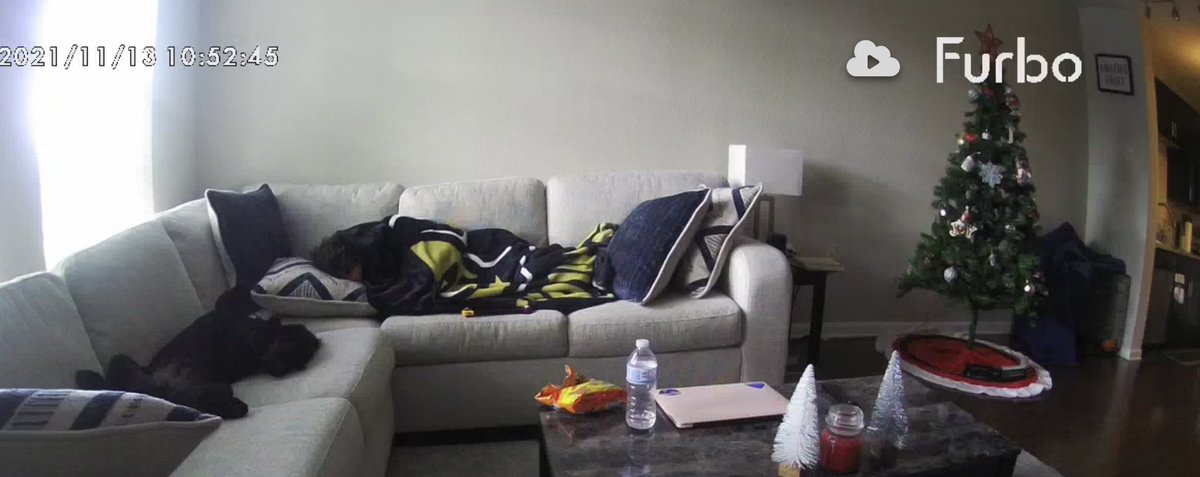 rebs_0's tweet photo. all the Furbo is doing is catching my dog and I taking naps together https://t.co/FIEPlJACdF