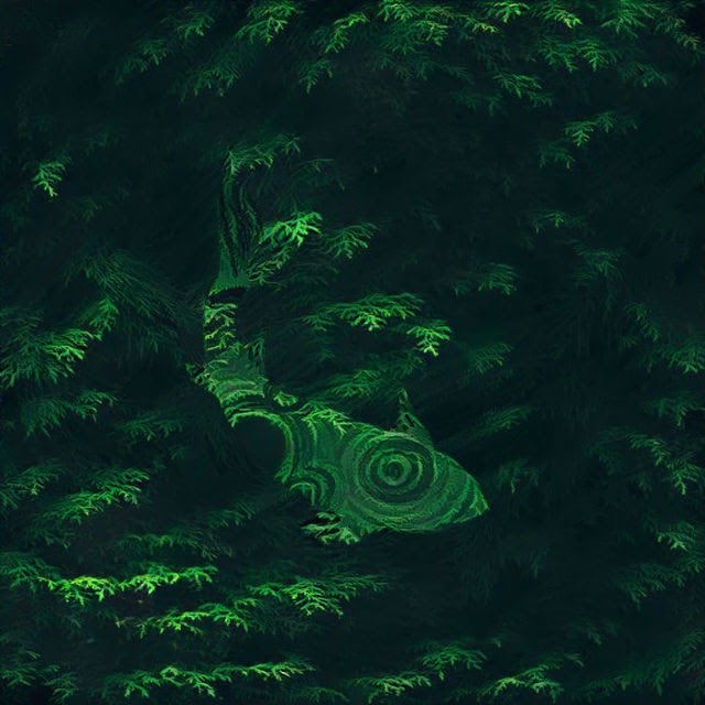 ENCYZOO's tweet image. A sneak peak into our Expiscari Collection. #SolanaNFT #solana #NFTs #NFTCommunity