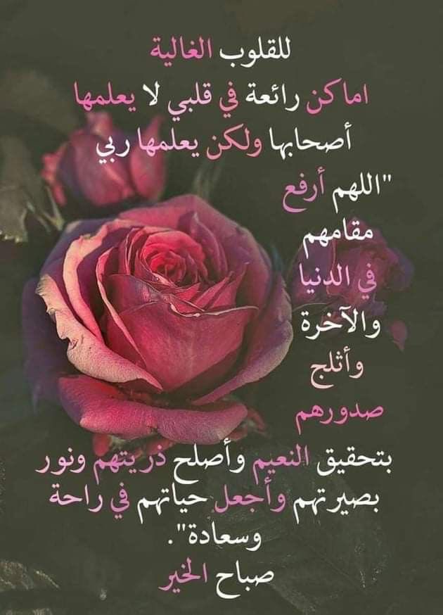 Aqeel Abdulqader tweet media