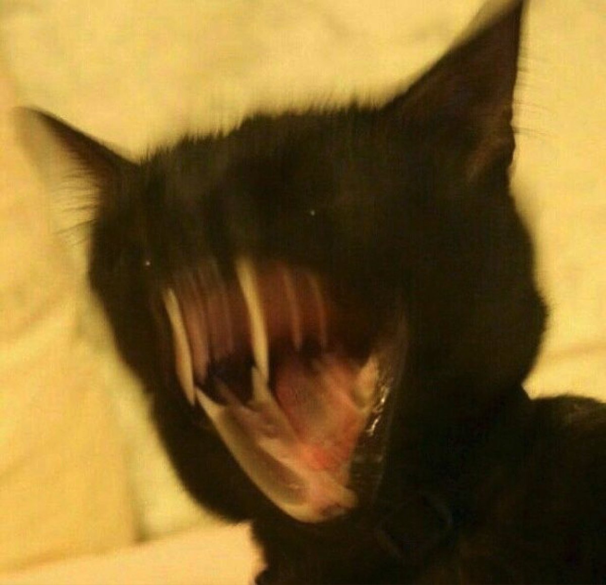 𝐒𝔶𝔩𝔳𝔢𝔰𝔱𝔢𝔯. (@sparkedspear) on Twitter photo 