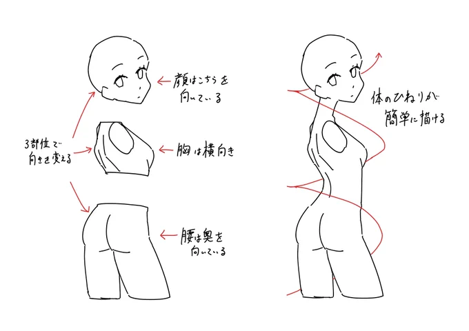 顔、胸、腰の3部位で向きを変えると、体の捻りが簡単に描けるのでおすすめです。 