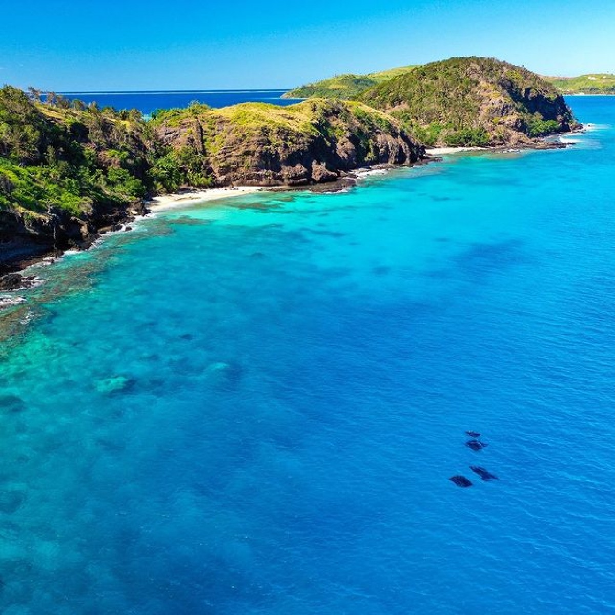TourismFiji's tweet photo. Spot the Manta...
There’s something quite calming about watching Mantaray cruise along the coastlines of Kadavu.
Only a short flight or cruise from our mainland, it’s one of our favourite places to visit. https://t.co/SWSgHGQoiA
#Fiji #FijisOpen #TravelFromDecember #Kadavu https://t.co/nzGehuQhQV