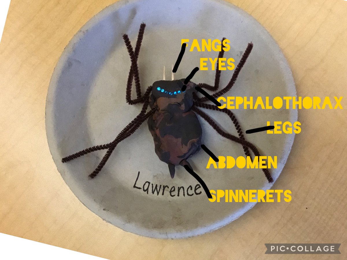 RBELibraryLC's tweet photo. Teacher and Librarian collaboration afternoons are my favourite! Grade 2 students pre-planned their 3D spider creations, gathered materials, built, revised and improved their plans- the beautiful process of design-thinking! They used @PicCollage to then label their creations! https://t.co/dVk3tIcm75