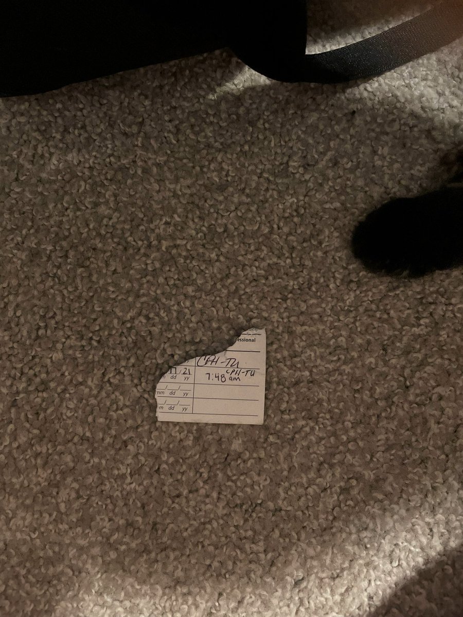 Dr. Lindsey Bartle, LAT, ATC tweet media