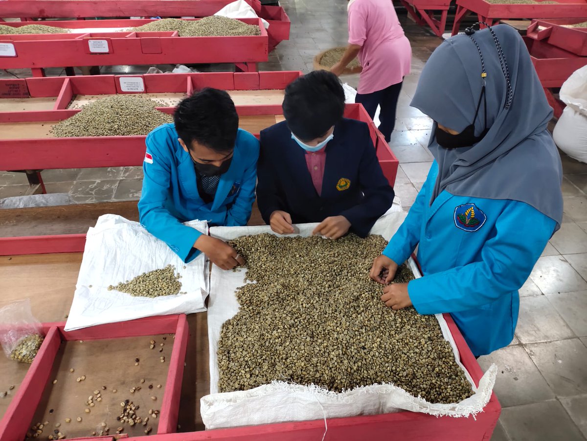 XiiPtpn's tweet photo. Kegiatan mahasiswa magang dari Universitas Jember dan Politeknik negeri Jember di Pabrik Kopi Kebun Renteng https://t.co/eAQrKGTNNf