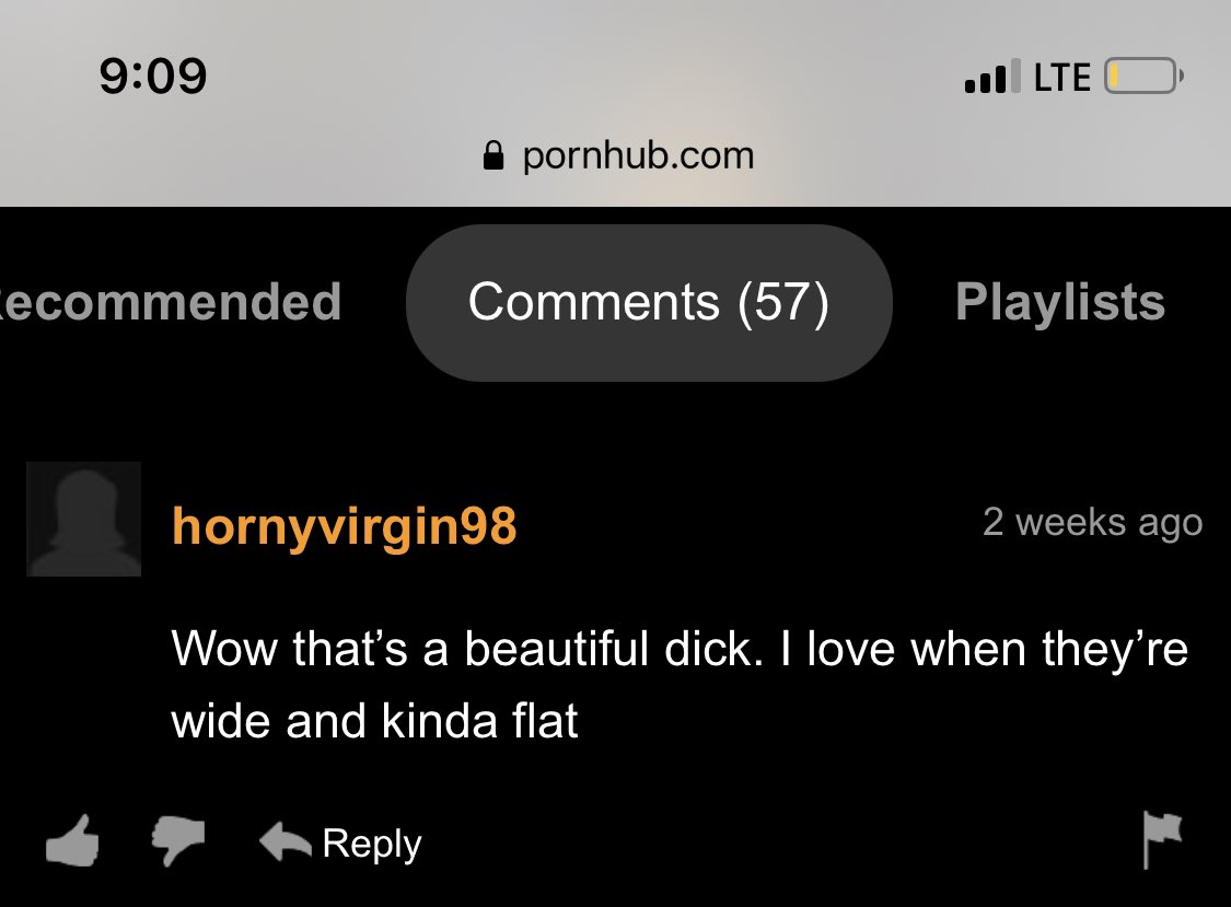 i did it. i found the perfect pornhub comment. 