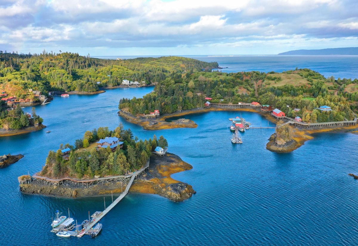 StillpointLodge's tweet photo. No roads go to Halibut Cove, Alaska, but there are 12 blocks of boardwalks, calm waters and nature trails! #Travel #remotegetaways
#Alaska #LuxuryTravel #virtuoso #halibutcove #lodge #cabins #stillpointlodge https://t.co/NMSGdy2YC4