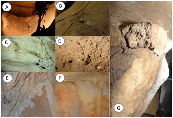 Coatings_MDPI's tweet photo. #mdpicoatings On the Biodiversity and Biodeteriogenic Activity of #Microbial Communities Present in the #Hypogenic Environment of the Escoural Cave, Alentejo, Portugal
https://t.co/tgQHqQSPZi https://t.co/96wT0zdHLt