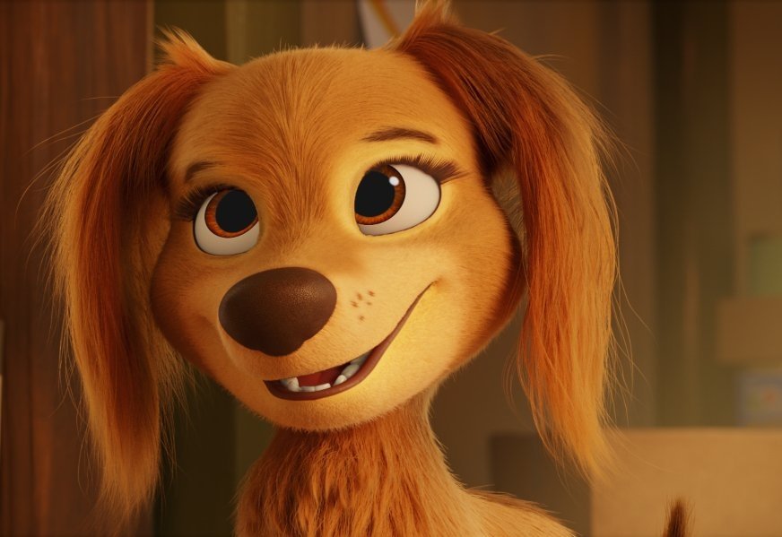 щенячий патруль 2021. либерти патруль. либерти из щенячий патруль. Paw patrol либерти. либерти мягкая игрушка щенячий патруль.