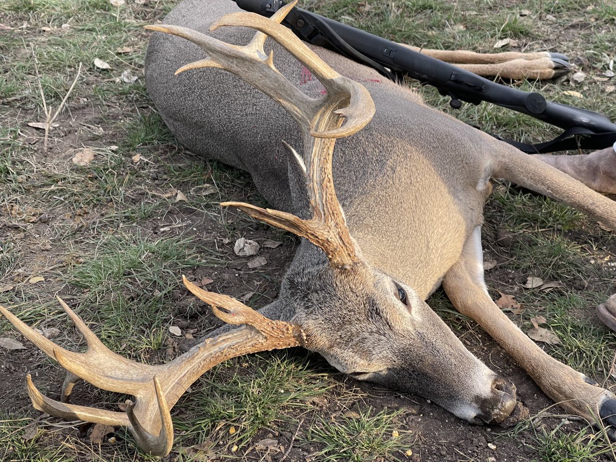 double_C_ranch's tweet photo. Nice buck from DubC2 my Nick Mayberry #16pt.#EHS #SAE https://t.co/ZCFEcIhwZh