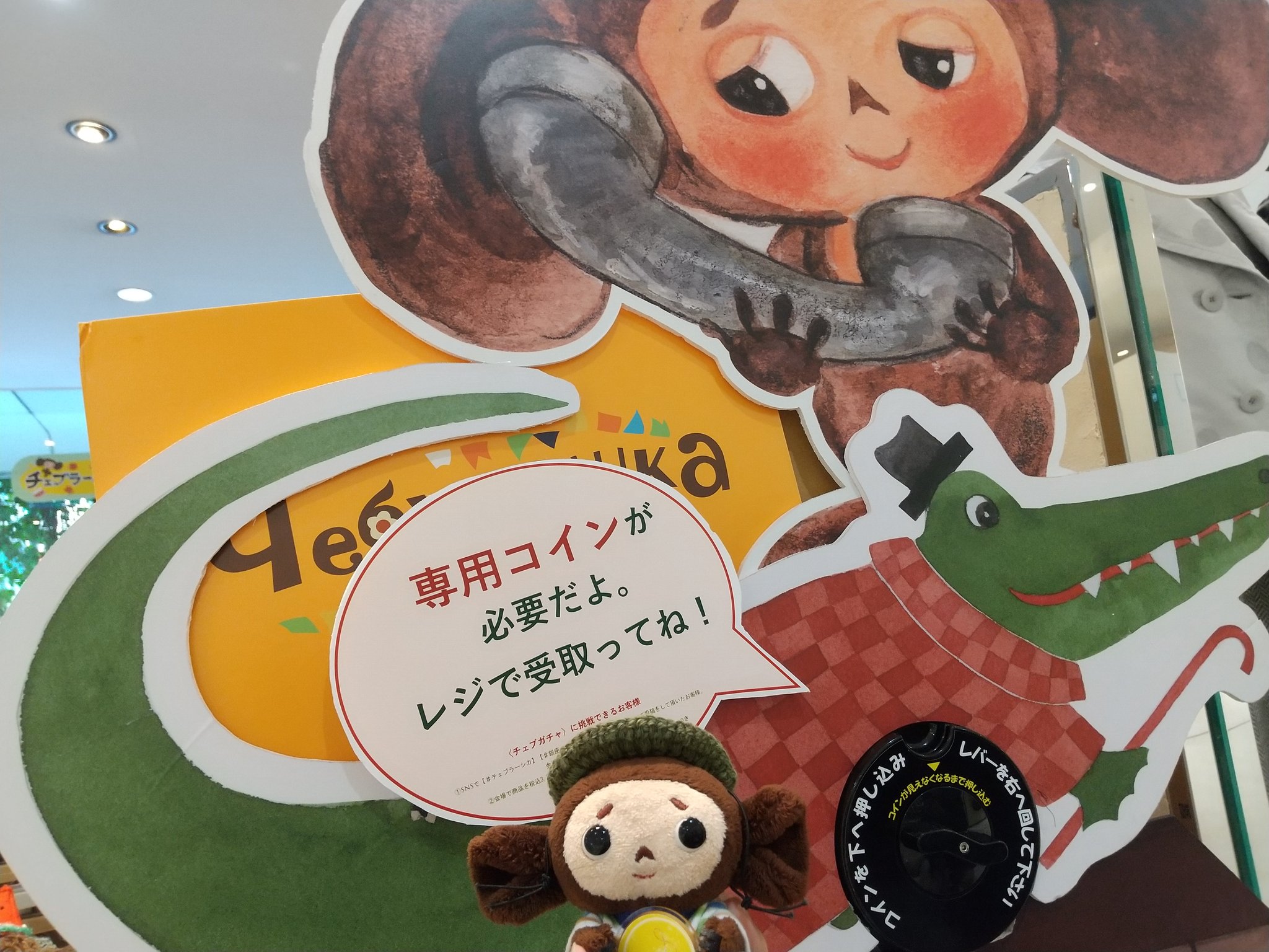 まゆ 1mayu1219 Twitter