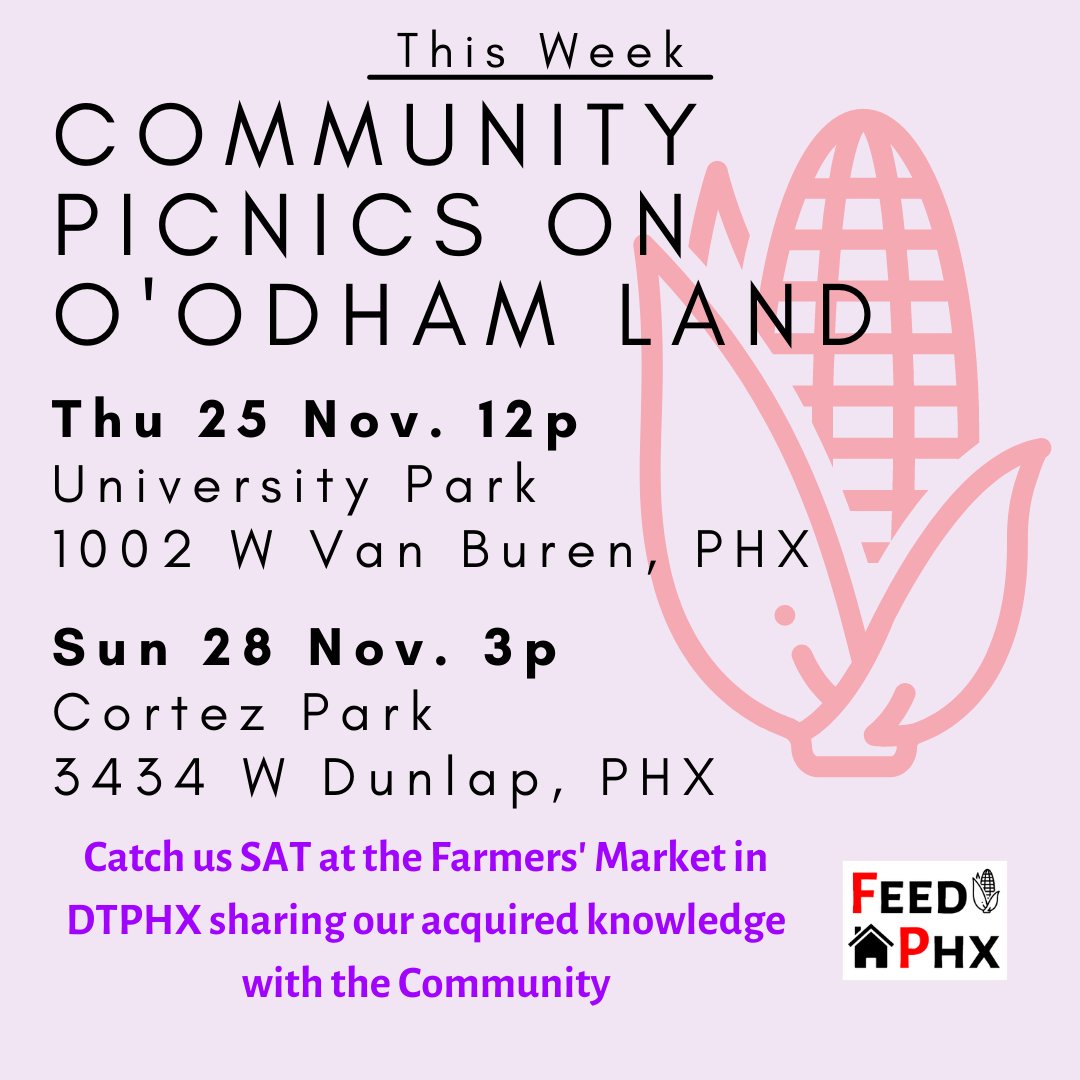 Feed Phoenix tweet media