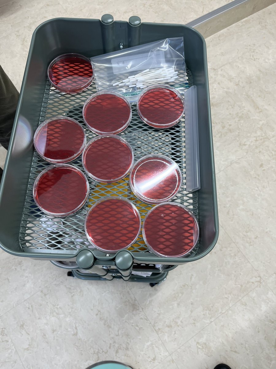 #ngss #sciencefun #msscience