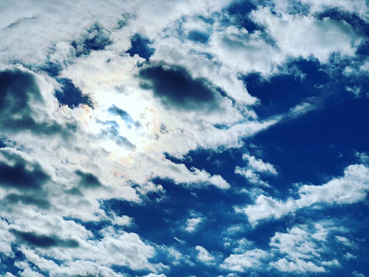 sakasin_happy's tweet photo. タイトル
#雲があると空は美しい
#東京マラソン に向けて
#延期はチャンス✨
#大人チャレンジ
#running
#100min
#13km
#pikminbloom
#ピクミン
#ピク民
#ピクラン
#reflection
#江戸川
雲が嫌いな人っているのだろうか?
てなこと考えながら🏃♂️ https://t.co/jdnbwEEi3E