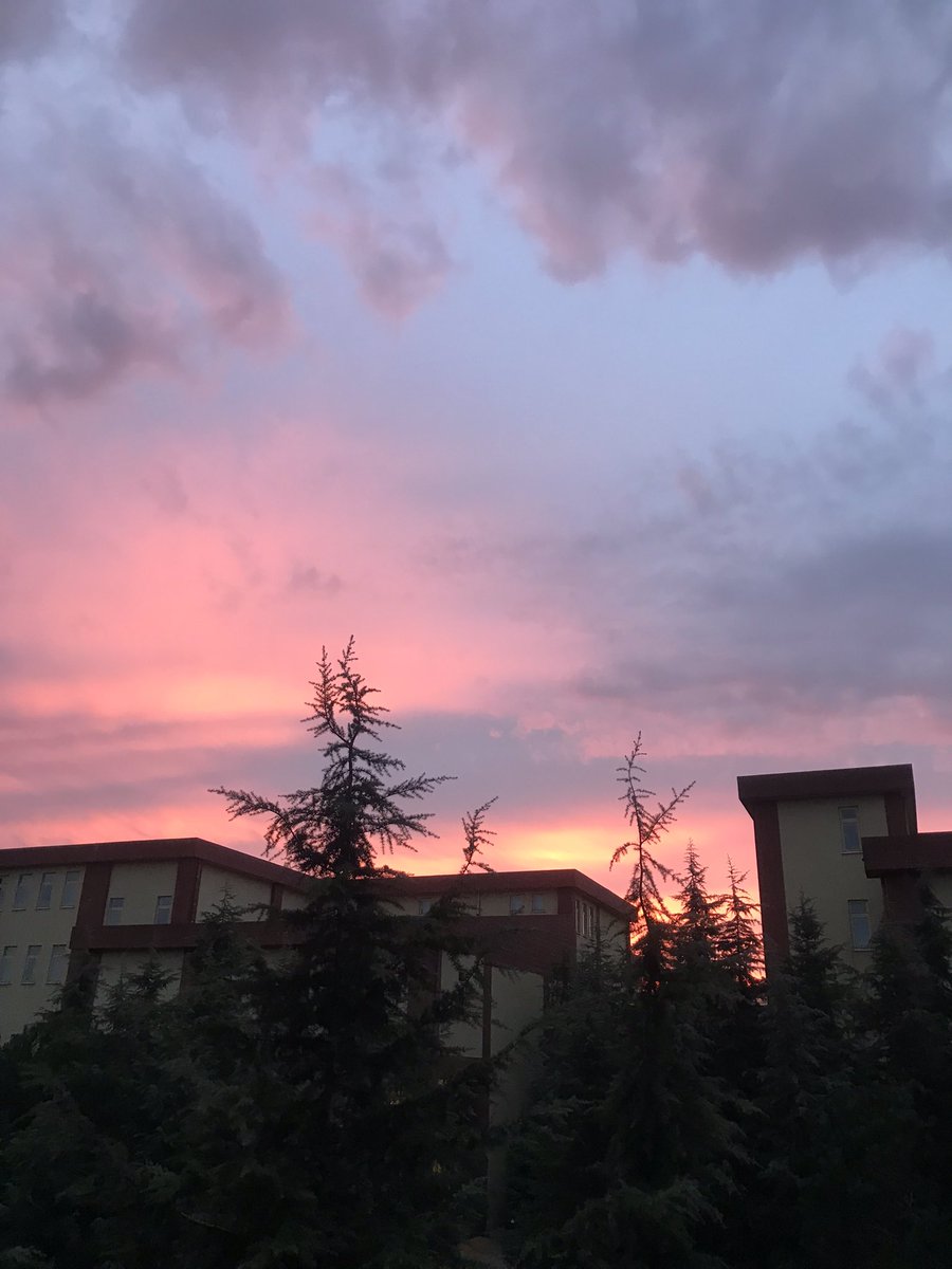 Ceren Sarisaltik tweet media