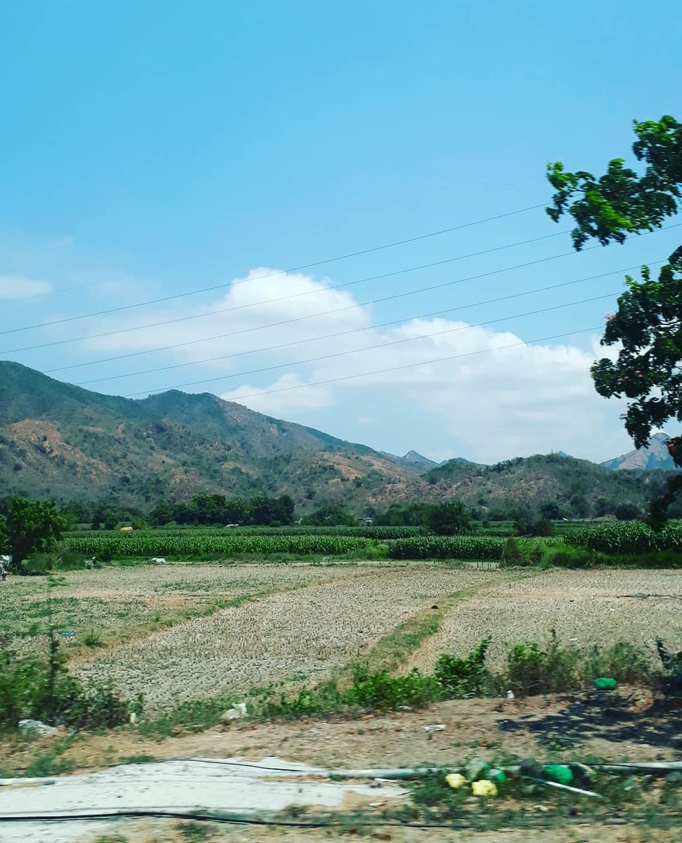 Natures Wonder😍😍😍

#MyGalleryPhotosOfMyLifeTravelAndLeisure
#farmlandOfTheNorth #Ricefields #CornFields
#TobaccoFields #greenfields #mountainview
#trees #GoatsAndCow #lifetravel #hustleAndBustle #NaturePhotography #travelphotography 🚘✈🛩🚗