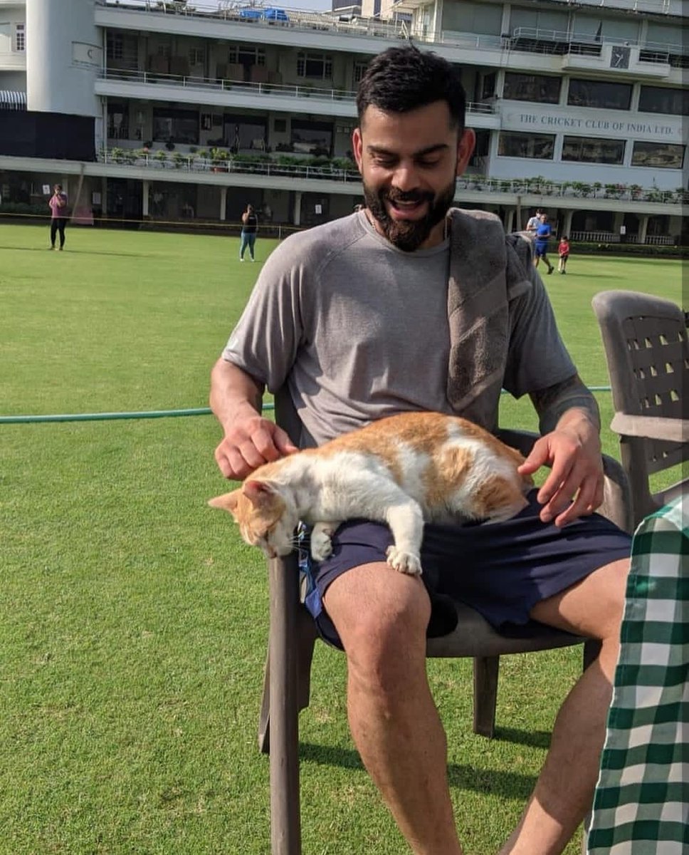imVkohli's tweet photo. A quick hello from a cool cat at practice 😺 https://t.co/0qeW9biUqo