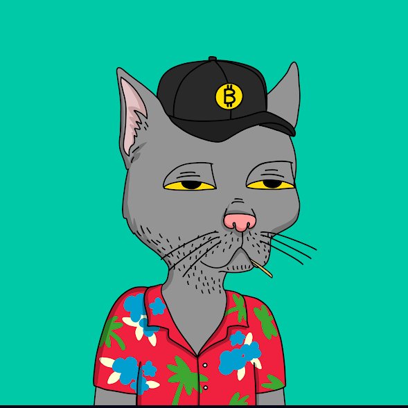 shaggyonabaggy's tweet photo. Can we talk about all these Cnfts stealing from eth nfts https://t.co/fVgHkLEVDe