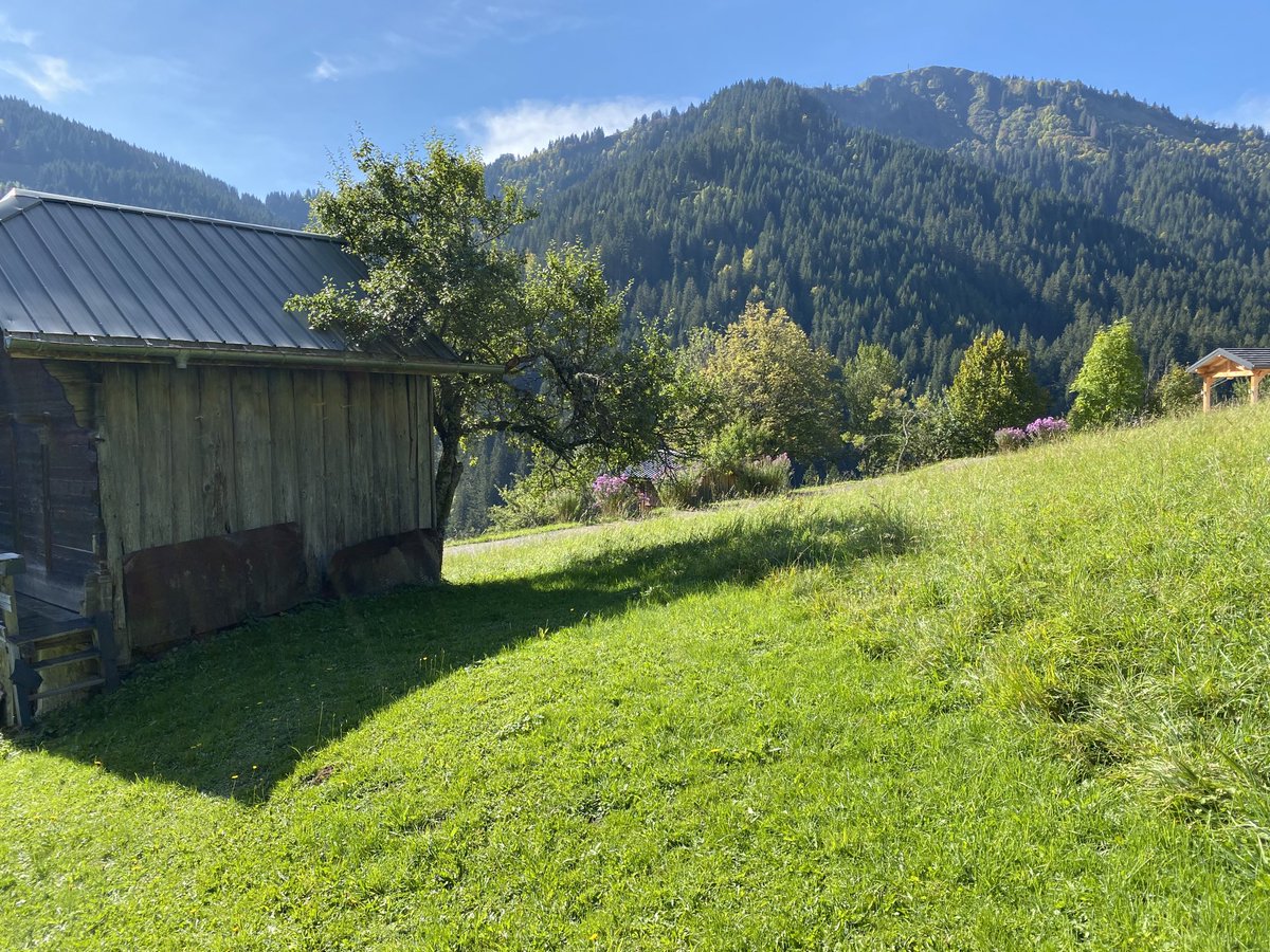 C21CallHome's tweet photo. Une charpente réalisée en 1880, une ferme rénovée par 5 générations et une vue à couper le souffle #c21callhome #lovemorzine #immobilier https://t.co/qcHXk7tCxn