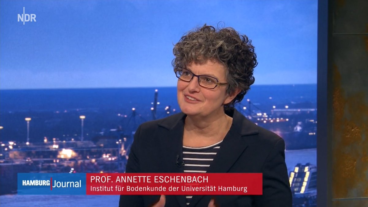 CEN Uni Hamburg @cenunihh.bsky.social (@cenunihh) on Twitter photo Der Klimawandel setzt Stadtbäume besonders unter Stress. Prof. Annette Eschenbach <a href="/unihh/">Universität Hamburg</a> untersucht Bäume auf deren Resilienz gegen Trockenphasen. Im @NDR berichtet sie über ihre Forschung zu klimaangepassten Pflanzungen in der Stadt (Beitrag ab min 13:06) ndr.de/fernsehen/send… Der Klimawandel setzt Stadtbäume besonders unter Stress. Prof. Annette Eschenbach <a href="/unihh/">Universität Hamburg</a> untersucht Bäume auf deren Resilienz gegen Trockenphasen. Im @NDR berichtet sie über ihre Forschung zu klimaangepassten Pflanzungen in der Stadt (Beitrag ab min 13:06) ndr.de/fernsehen/send…