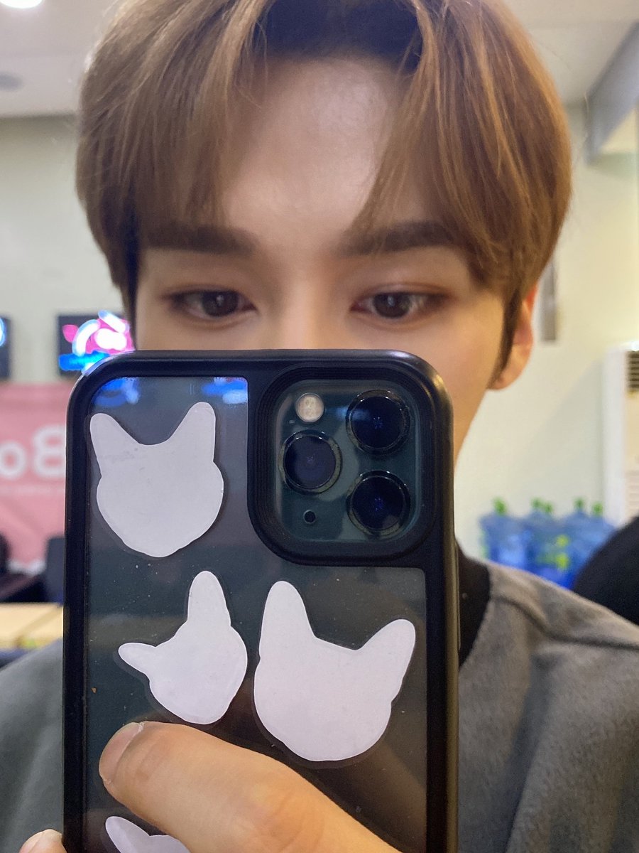skz_bubble's tweet photo. Volviiii.🥳

🐰 Minho vía 💭 : 
Junta los ojos, nariz y boca por tu cuenta https://t.co/0Bqe9gECjQ
