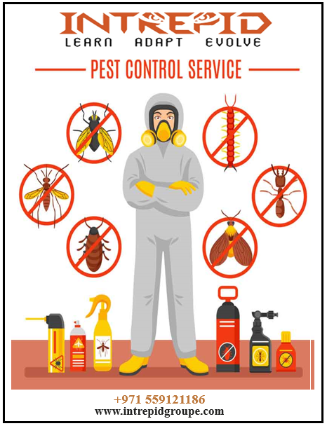 Intrepidgroupe's tweet photo. Have any questions? Contact us on :
+971 559121186 and enjoy a pest-free environment.

Visit us : https://t.co/iSMfB5BOWJ

#pestcontrol #pest #pestcontrolservice #flycontrol, #allergyfree #dubai #UAE #PestManagement #pestservices #disinfection #disinfectionservice #antitermite https://t.co/4tnVfQ1BnX