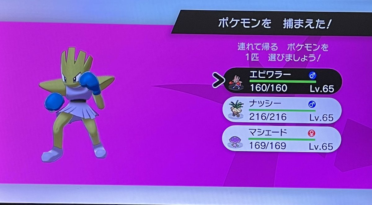ポケモンgo エビワラーの色違い 入手方法と実装状況 攻略大百科 ポケモンgo エビワラーの色違い 入手方法と実装状況 攻略大百科