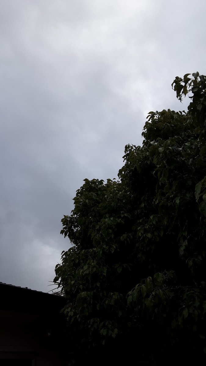 Lisa_Zate's tweet image. 🐷いこまいかい運動部🌸🌼
✅スクワット 20回
✅縄跳び120回
✅腹筋40回往復
あめが降りそうな   よ  ▪︎か  ▪︎ん🙄
#ダイエット倶楽部 #老化防止 #exerciselover #水2L