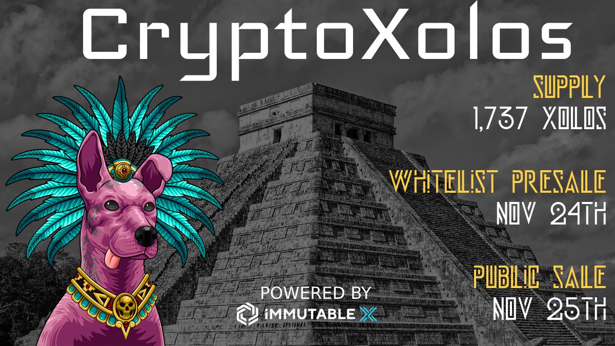 Immutable's tweet photo. The unique &amp; exotic @cryptoxolos are ready to launch on Nov 25 at 5pm UTC.🚀🐶

Featuring a very limited collection of 1,737 NFTs w/ a roadmap towards building an epic P2E game -- all powered by @Immutable X.

You don't want to miss this drop.🔥

Follow their Twitter for more. https://t.co/Ywy88LTGXW