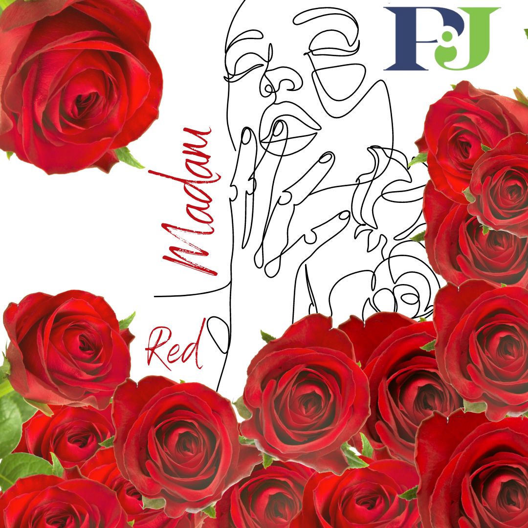 pjdaveflowers's tweet photo. Madam Red
Headsize 4.5cm+
Length 35-70cm
#freshcutroses
#floriculture
#naturallygrown
#redroses
#flowerexport
#rosesfromkenya
#pjdaveflowersgroup https://t.co/7BfLqhb6NV