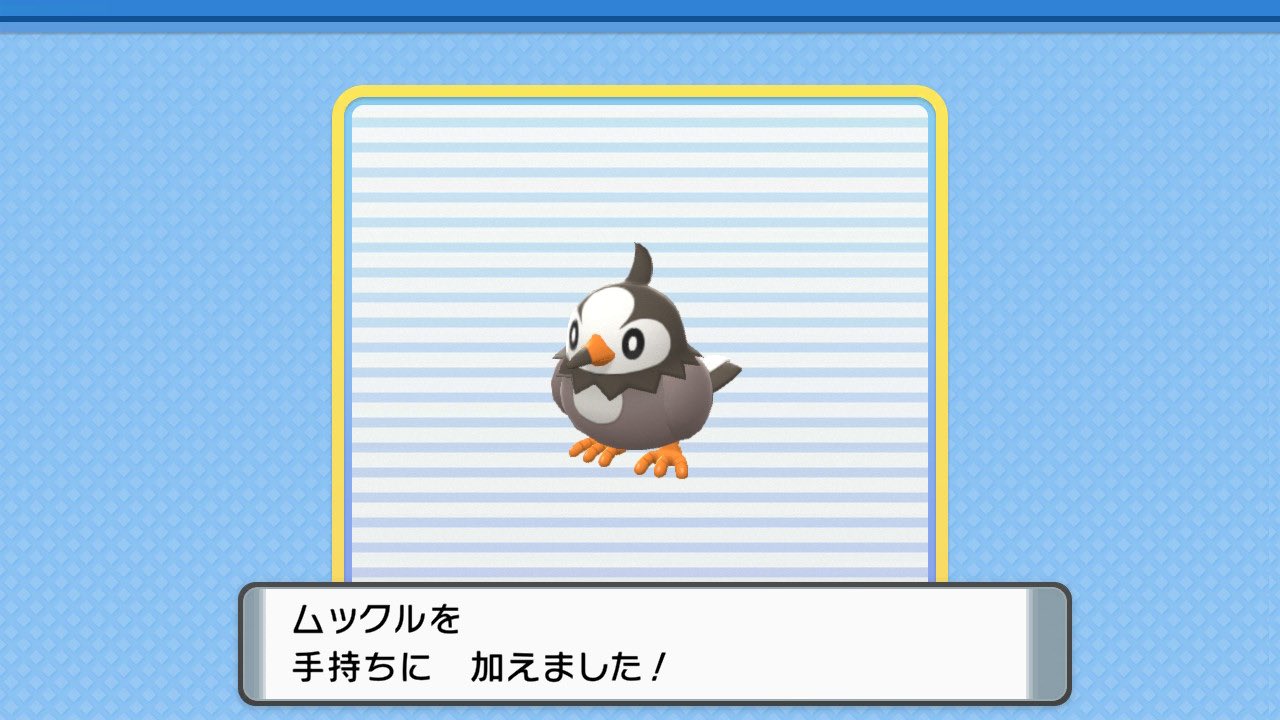 K とりあえずムックルゲット ダイパリメイク ポケモンbdsp ポケモン T Co E9ks8r3qsa Twitter