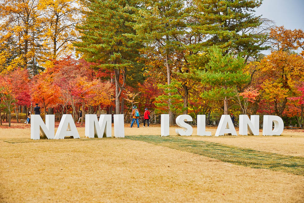 VisitKorea on Twitter: "Nami Island is especially beautiful in fall!🤎 The  fallen leaves create a colorful carpet and make it the perfect photo  spot!📷 📍 Nami Island: https://t.co/xri8SGVWKs ✔️ Admission 13,000 won