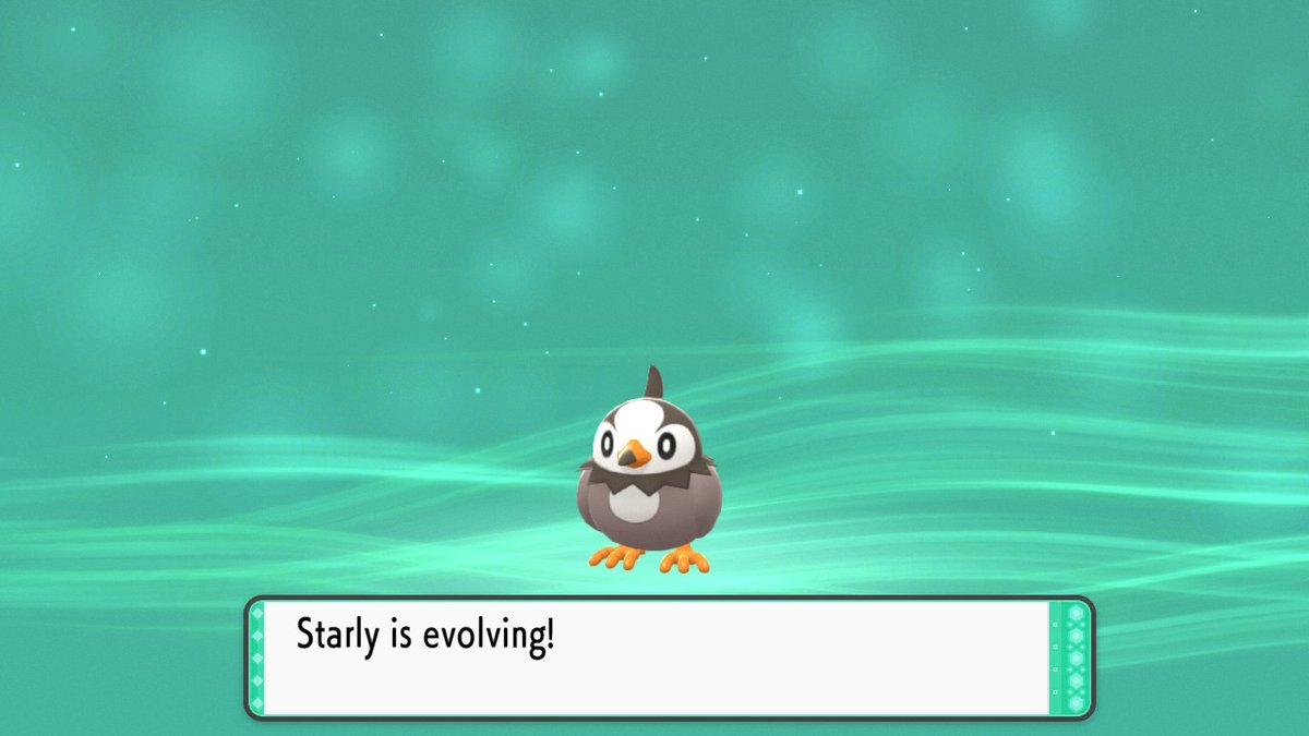 LuxeViper's tweet photo. #Pokemon #PokemonShiningPearl #NintendoSwitch https://t.co/MGzKBjdWp5