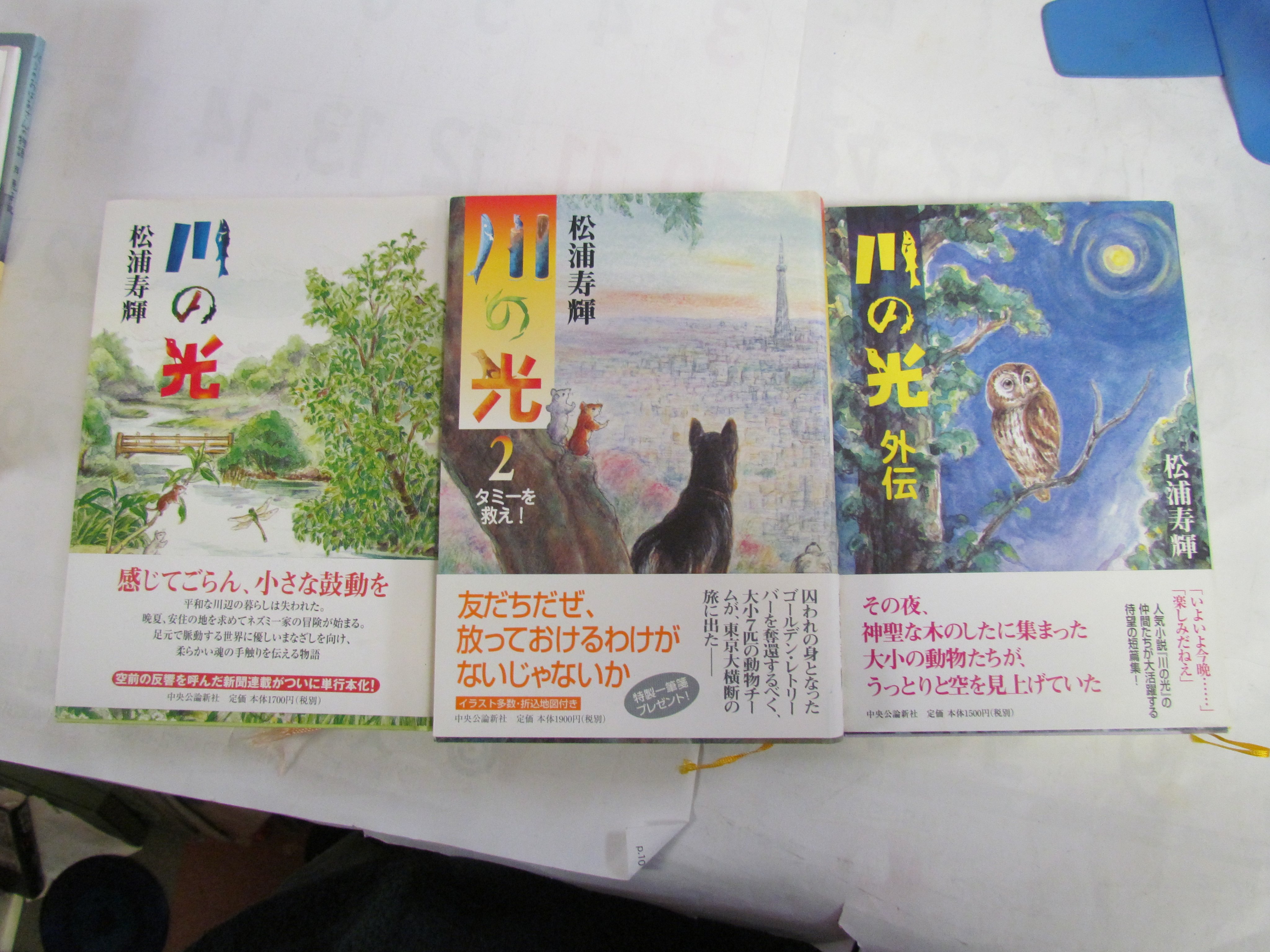 川の光 Twitter Search Twitter