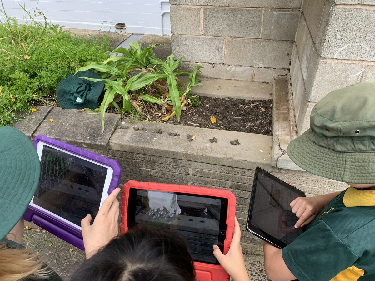 2/3 Connect tweet media