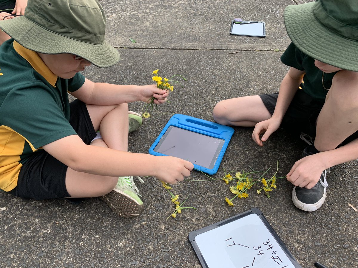 2/3 Connect tweet media