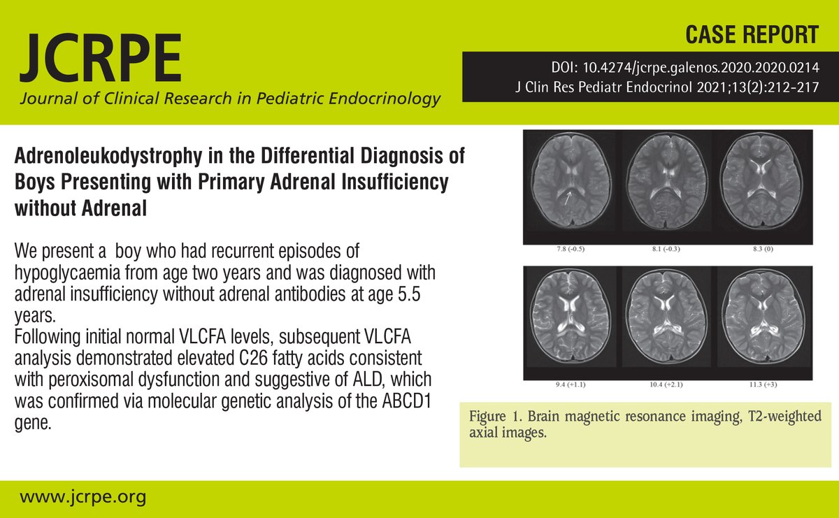 the brain 9 search report